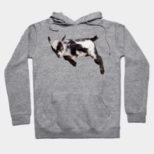 Bouncing Baby Goat Hoodie